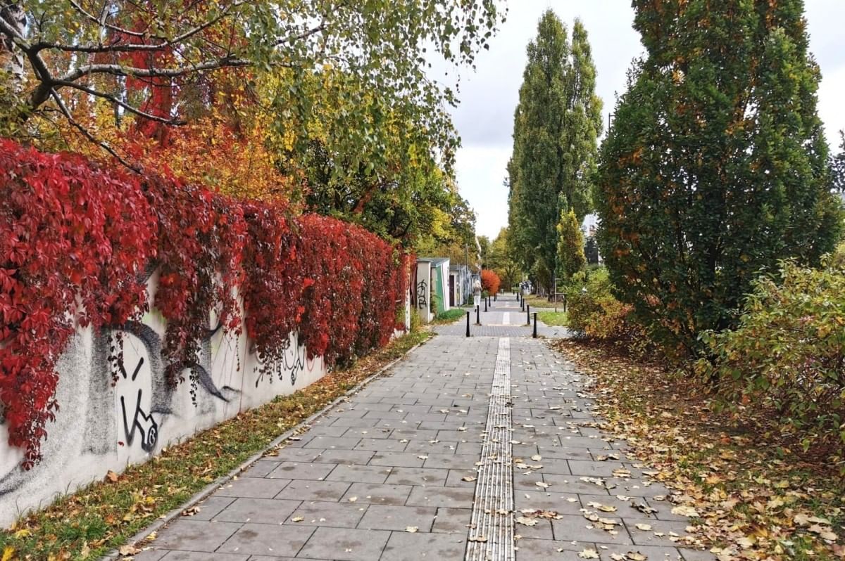 Mieszkanie 1 pokojowe na Sprzedaż