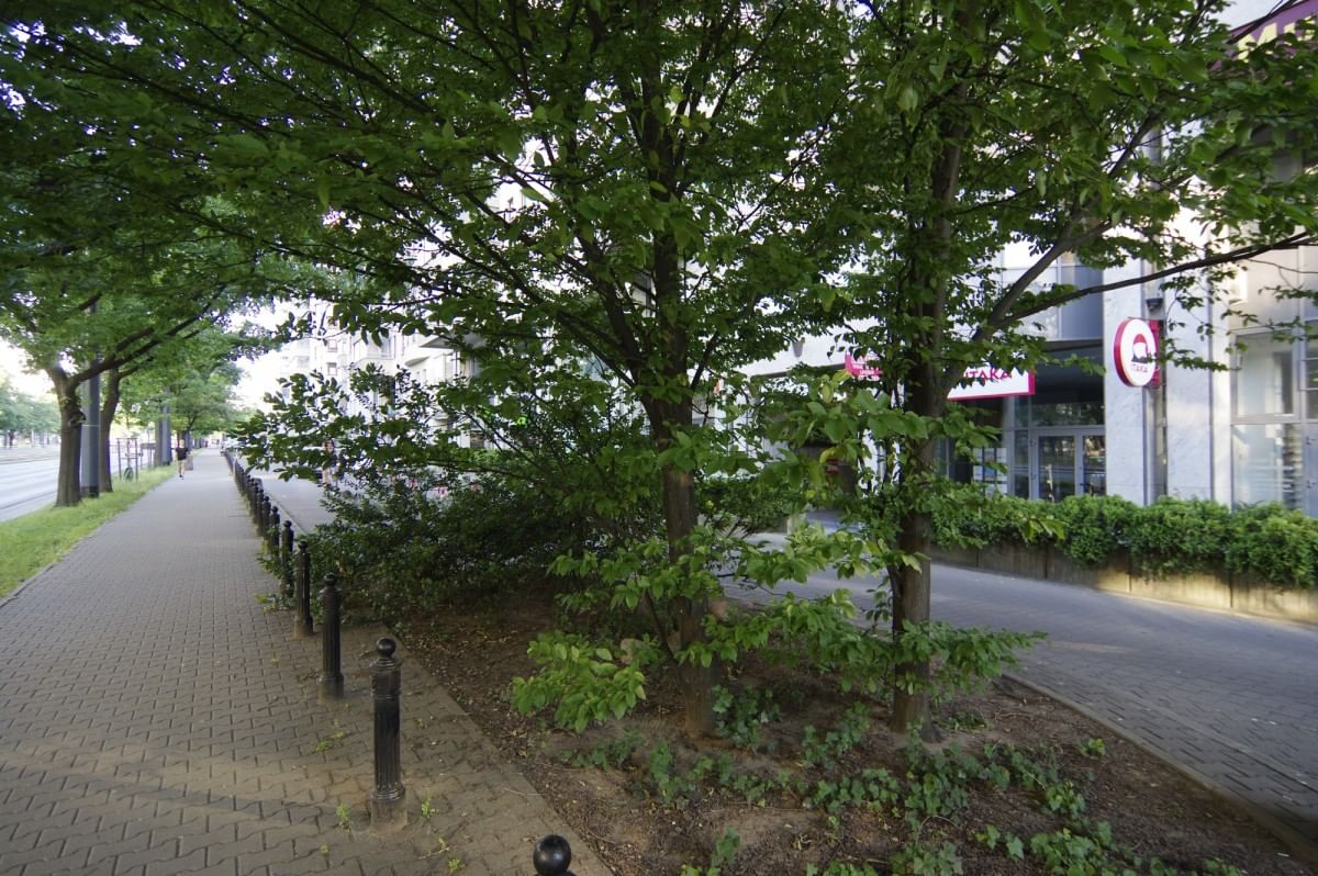 Lokal użytkowy  pokojowe na Wynajem