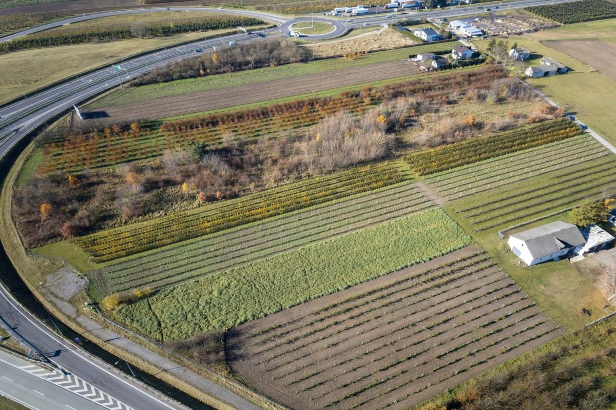 Działka  pokojowe na Sprzedaż