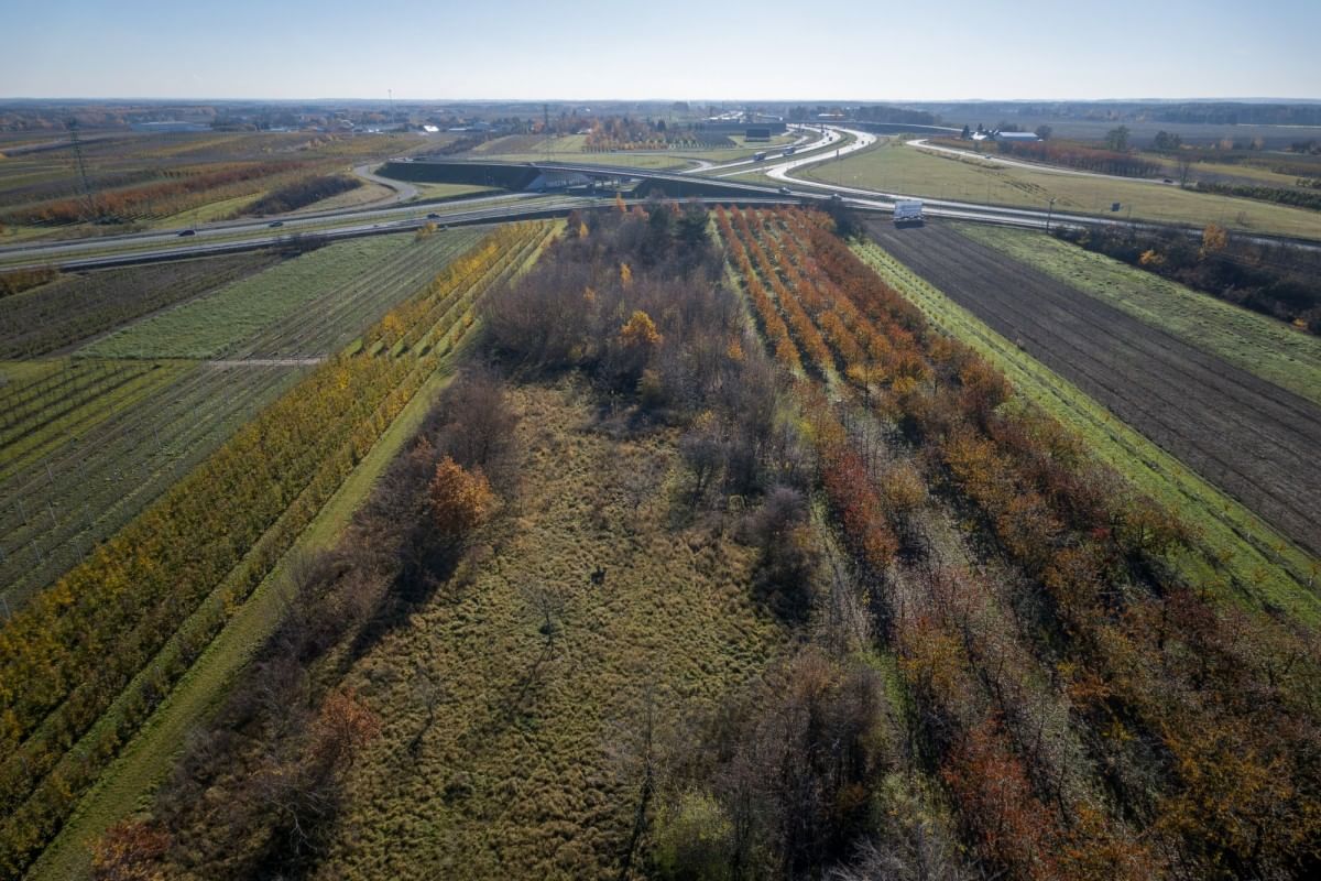 Działka  pokojowe na Sprzedaż