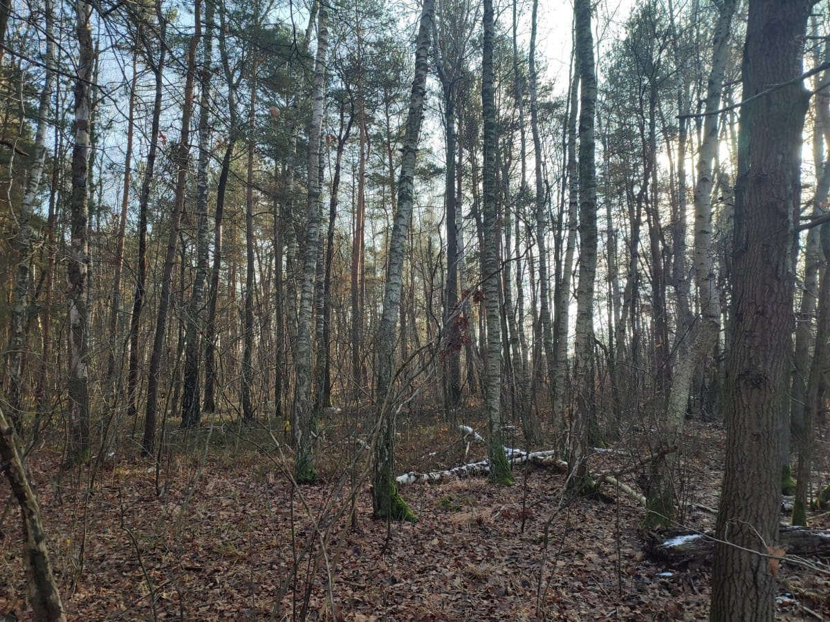 Działka  pokojowe na Sprzedaż