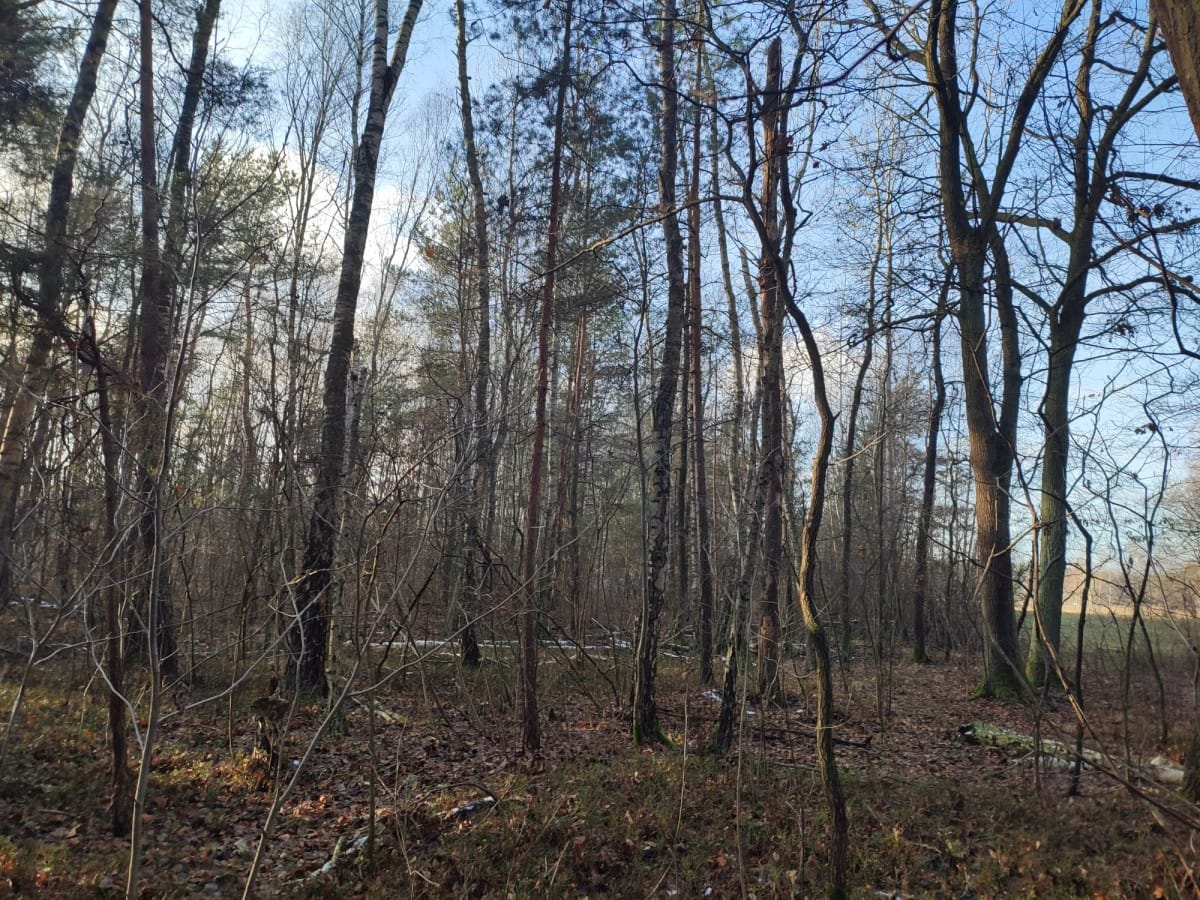 Działka  pokojowe na Sprzedaż