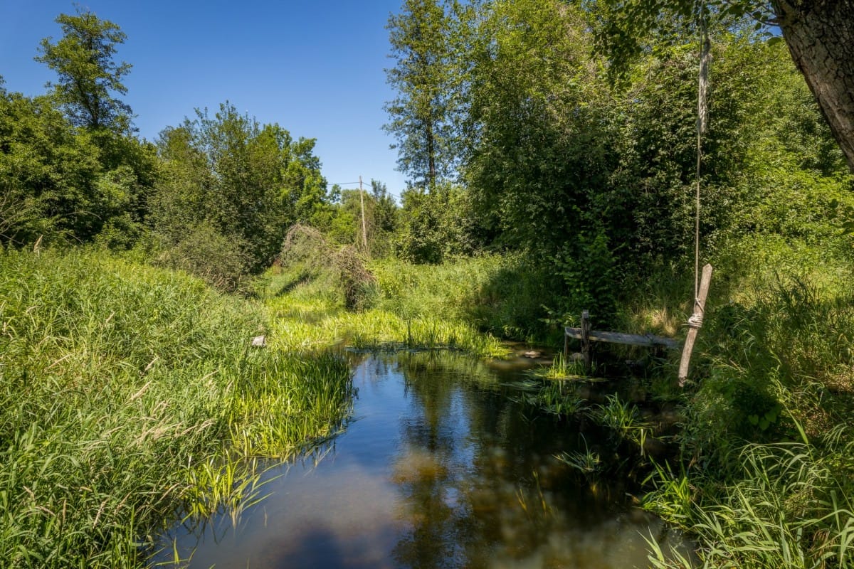 Dom 4 pokojowe na Sprzedaż
