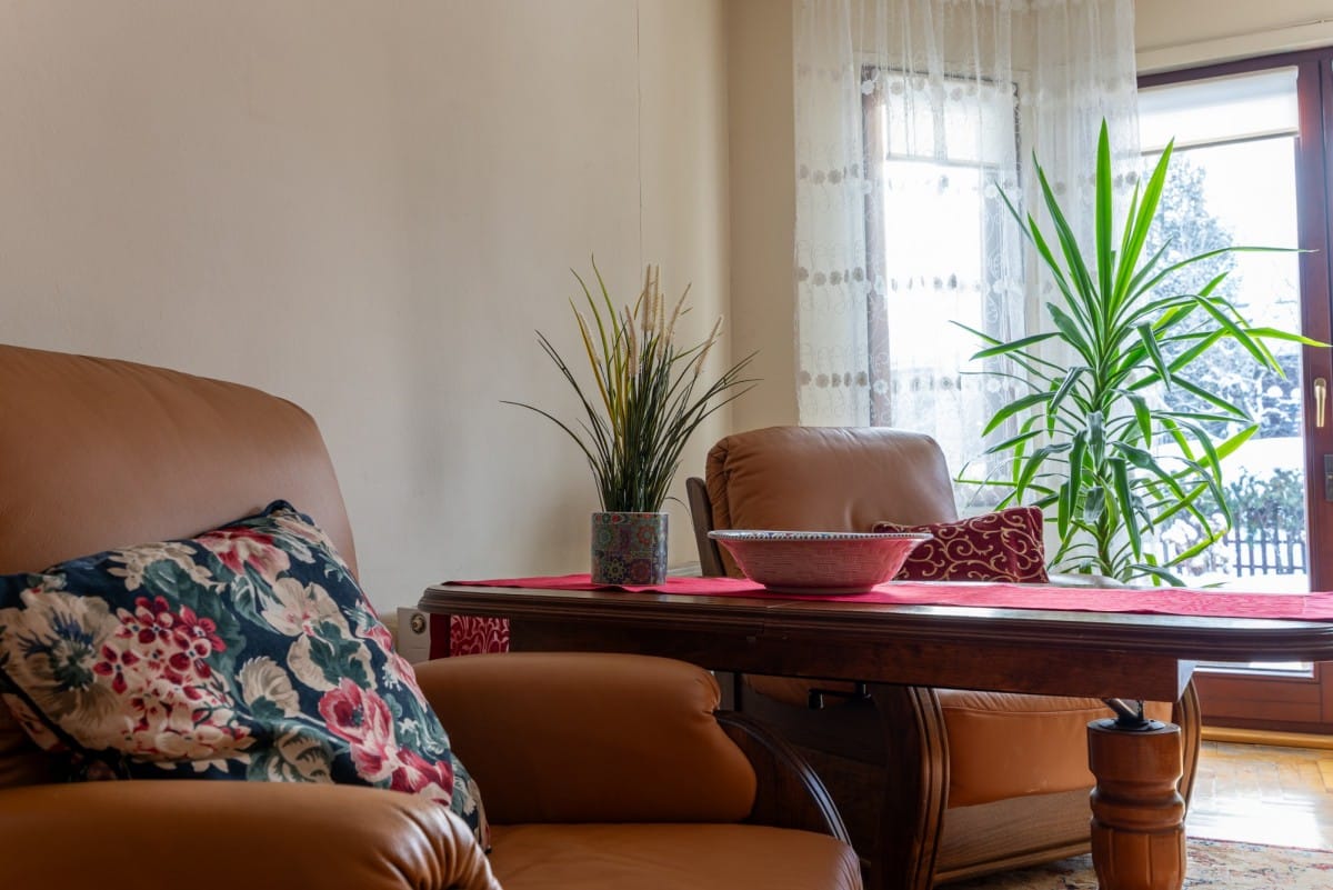 Dom 3 pokojowe na Wynajem