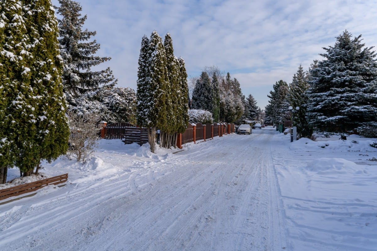 Dom 3 pokojowe na Wynajem