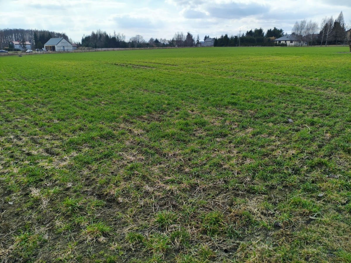 Działka  pokojowe na Sprzedaż