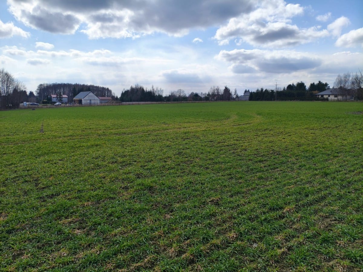 Działka  pokojowe na Sprzedaż