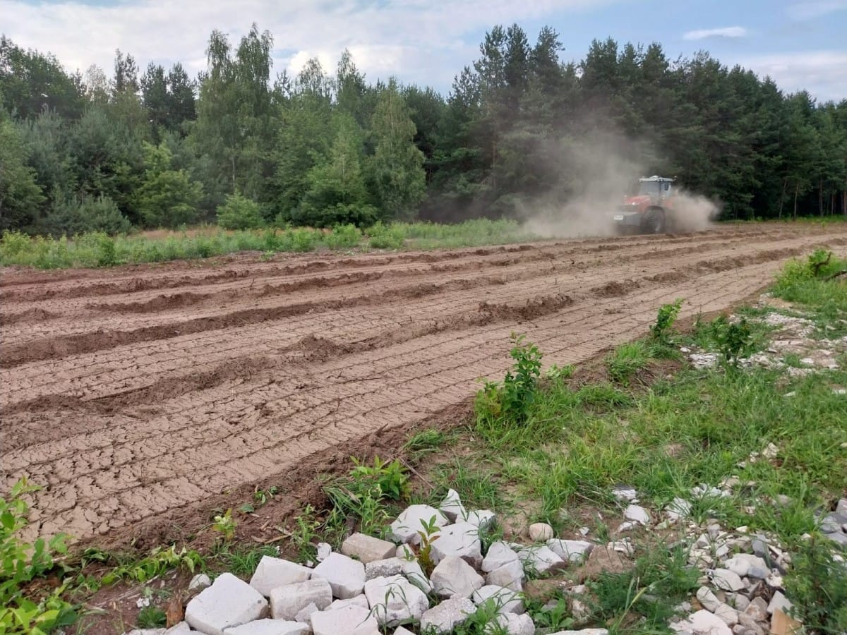 Działka  pokojowe na Sprzedaż