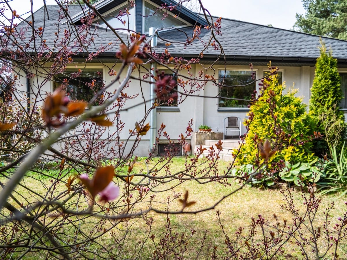 Dom 5 pokojowe na Sprzedaż