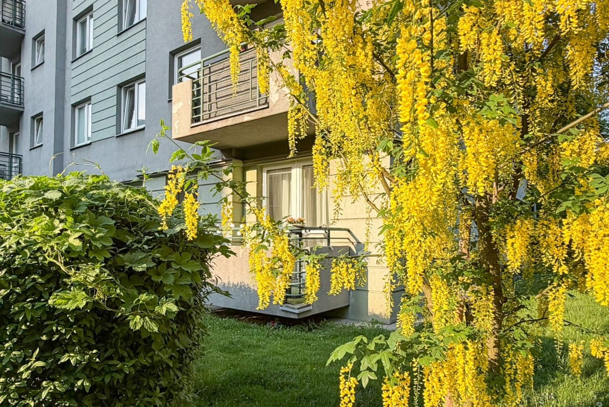 Mieszkanie 2 pokojowe na Sprzedaż