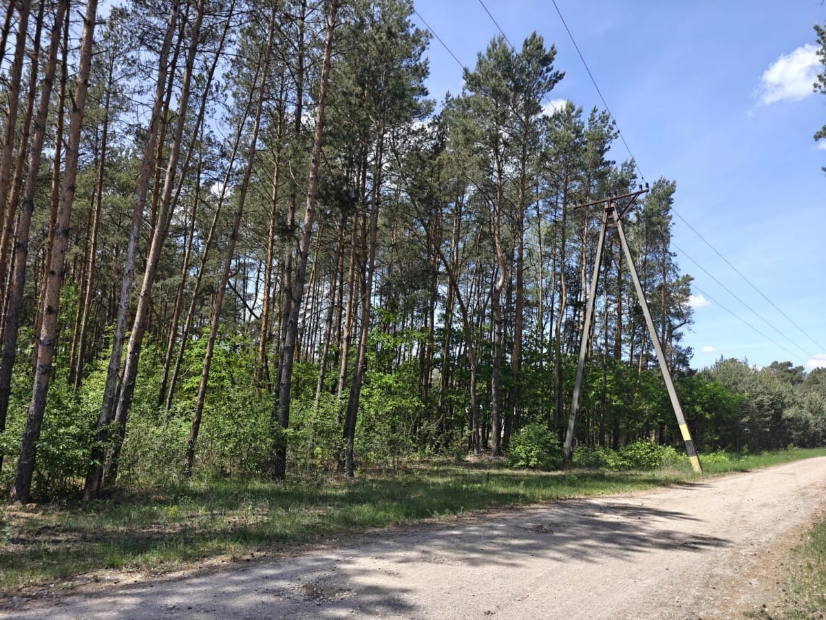 Działka  pokojowe na Sprzedaż