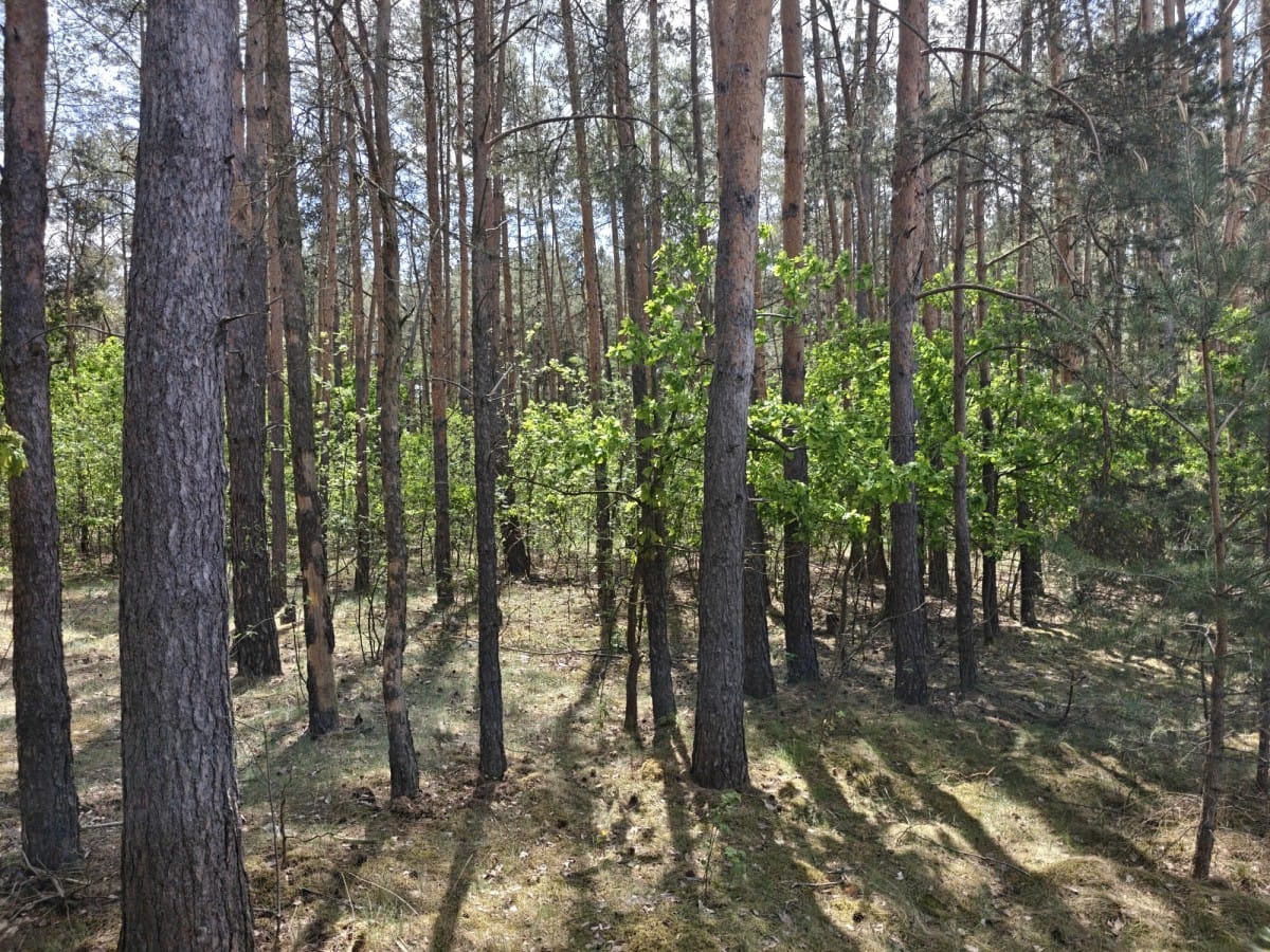 Działka  pokojowe na Sprzedaż