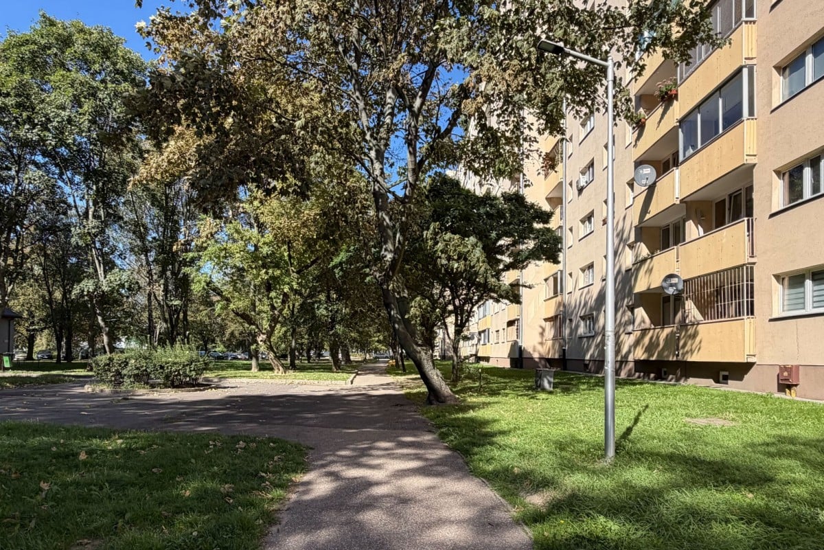 Mieszkanie 3 pokojowe na Wynajem