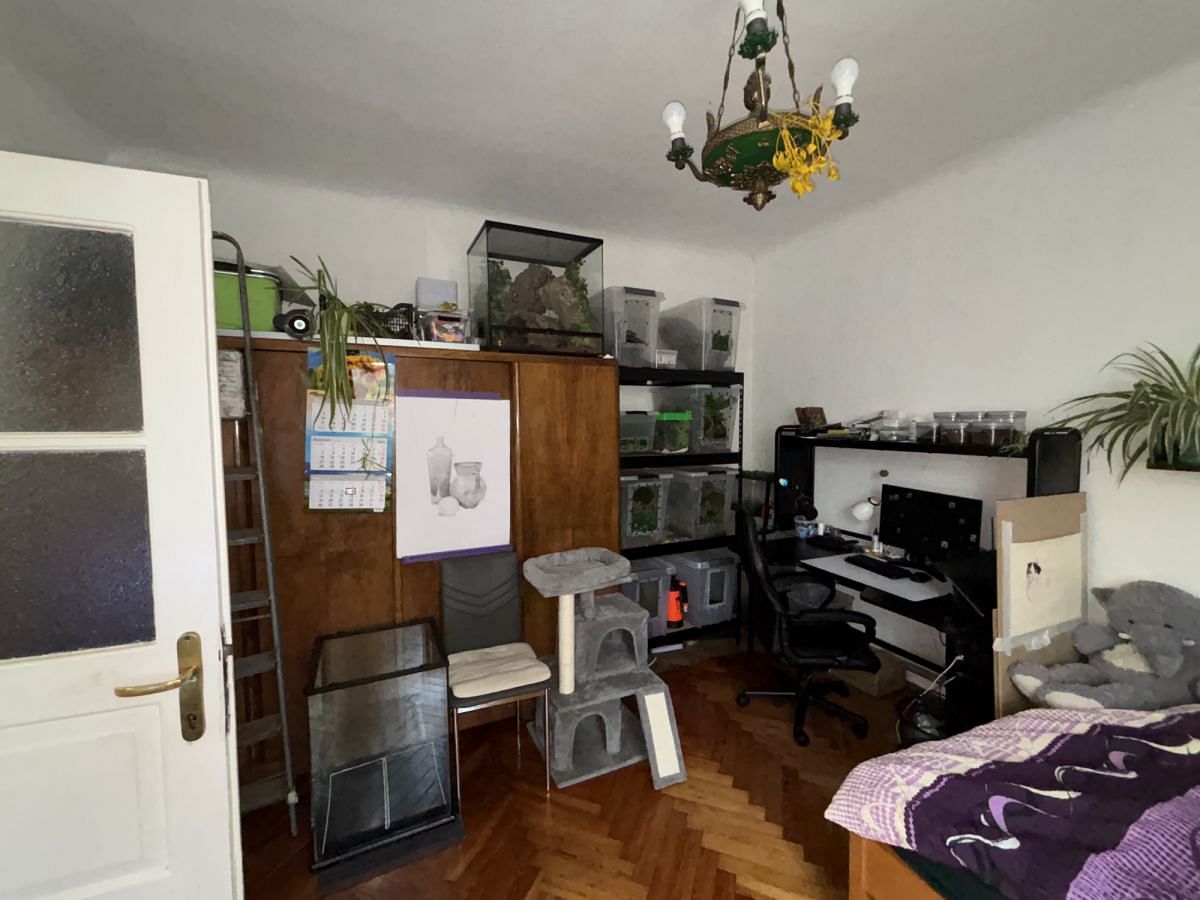 Dom 3 pokojowe na Sprzedaż