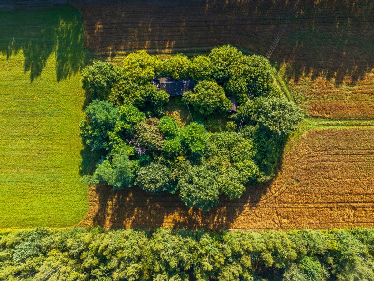 Działka  pokojowe na Sprzedaż