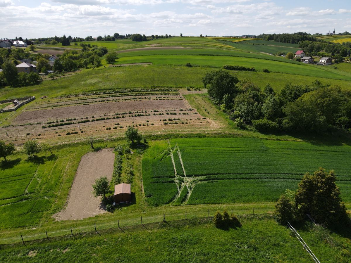 Działka  pokojowe na Sprzedaż