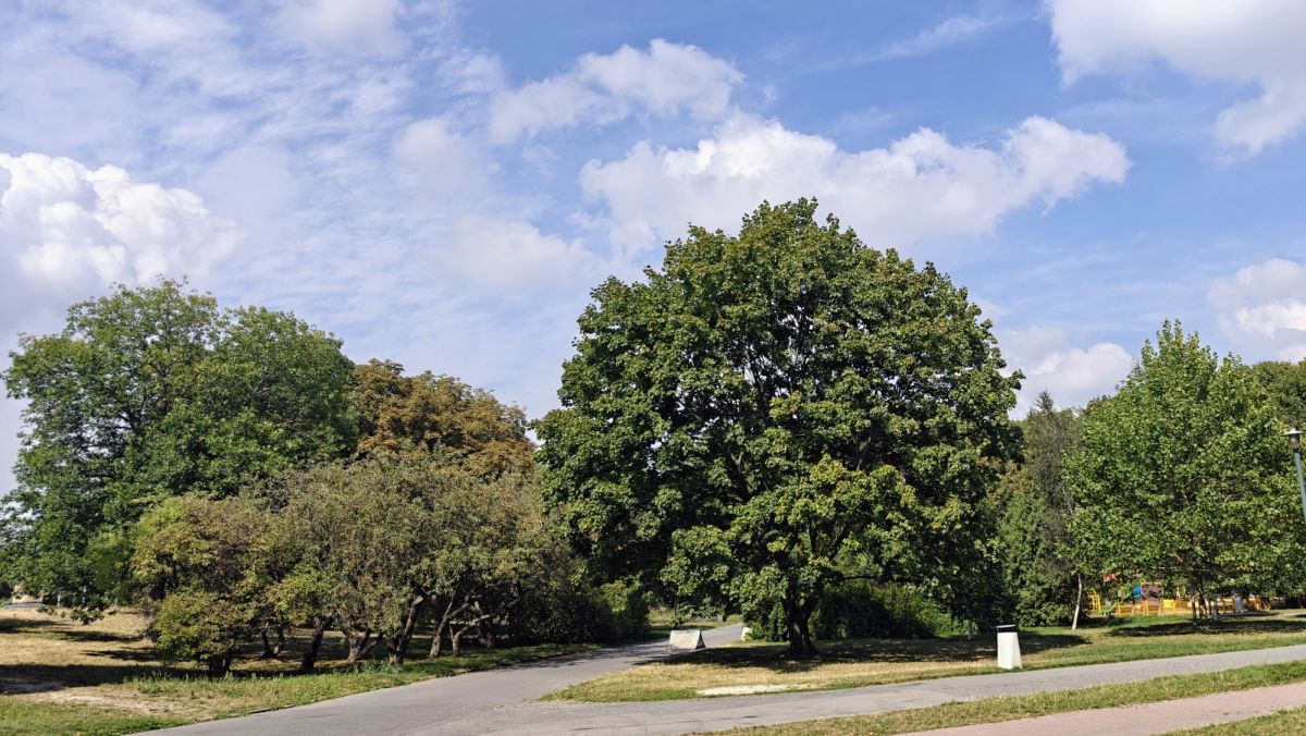 Mieszkanie 1 pokojowe na Sprzedaż