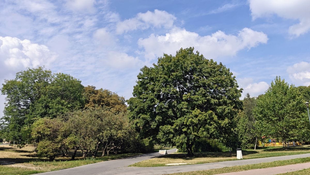 Mieszkanie 1 pokojowe na Sprzedaż