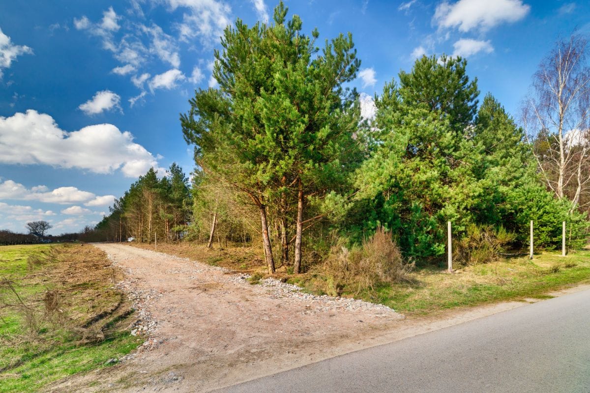 Działka  pokojowe na Sprzedaż