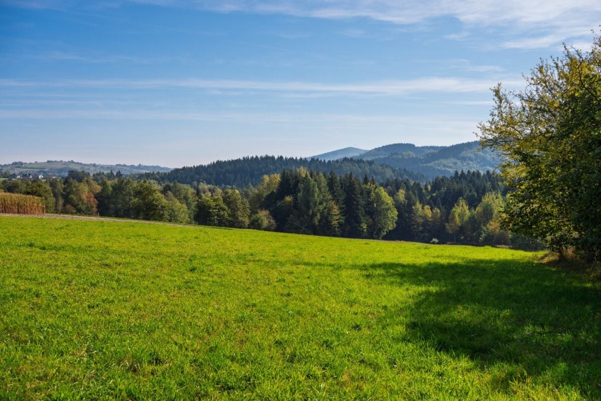 Działka  pokojowe na Sprzedaż