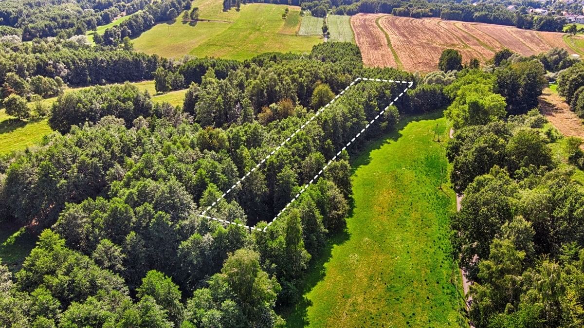 Działka  pokojowe na Sprzedaż