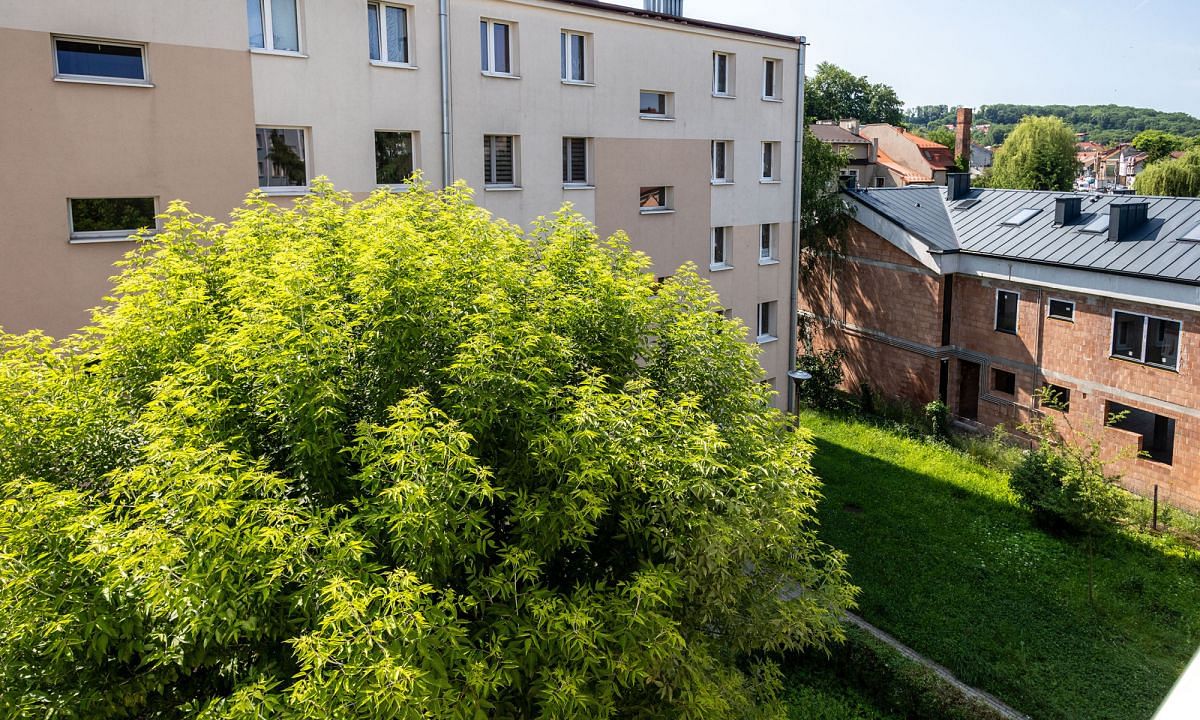 Mieszkanie 1 pokojowe na Sprzedaż