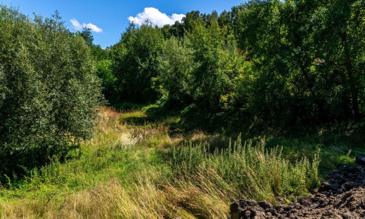 Działka  pokojowe na Sprzedaż
