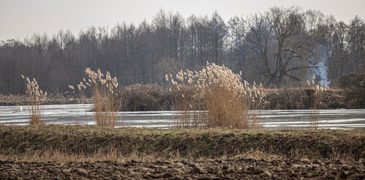 Mieszkanie 3 pokojowe na Wynajem