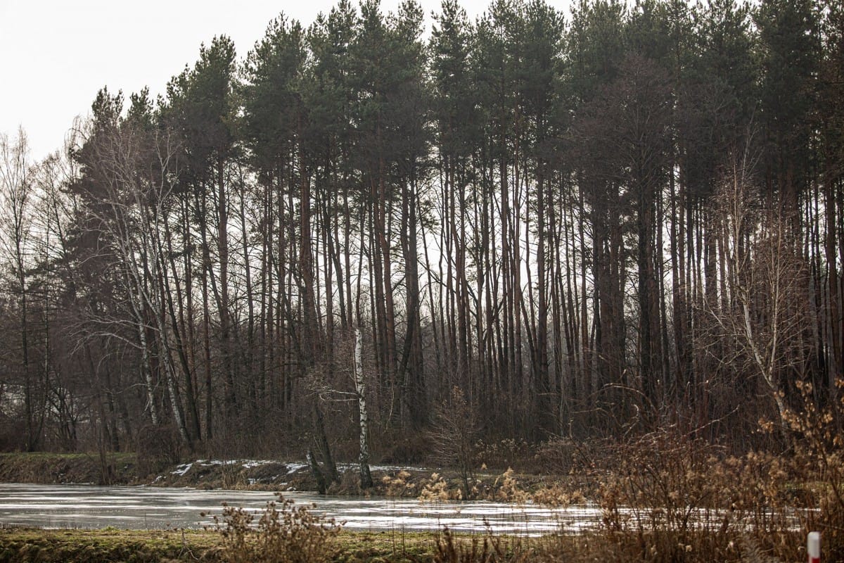 Mieszkanie 3 pokojowe na Wynajem