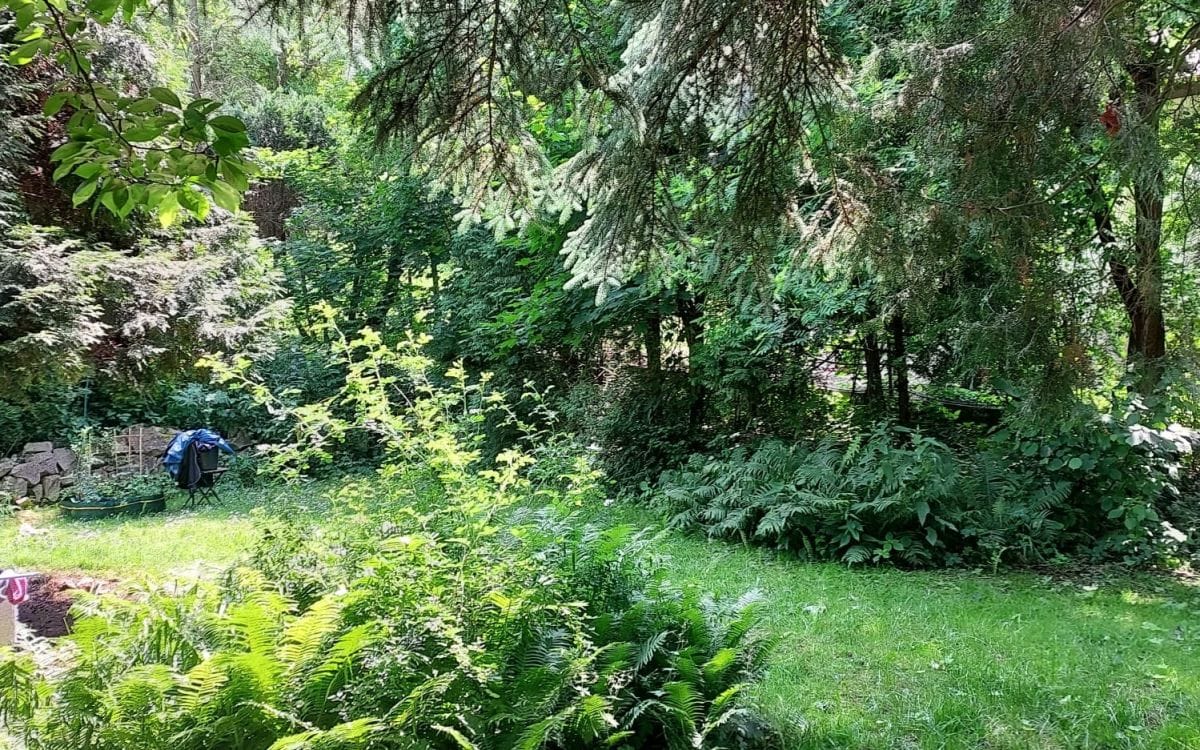 Dom 5 pokojowe na Sprzedaż