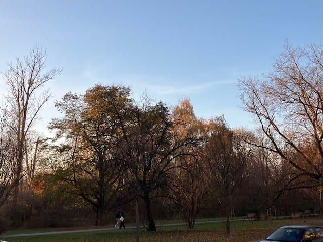 Mieszkanie 1 pokojowe na Sprzedaż