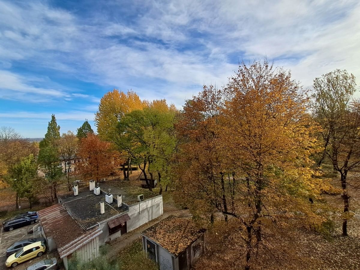 Mieszkanie 2 pokojowe na Wynajem