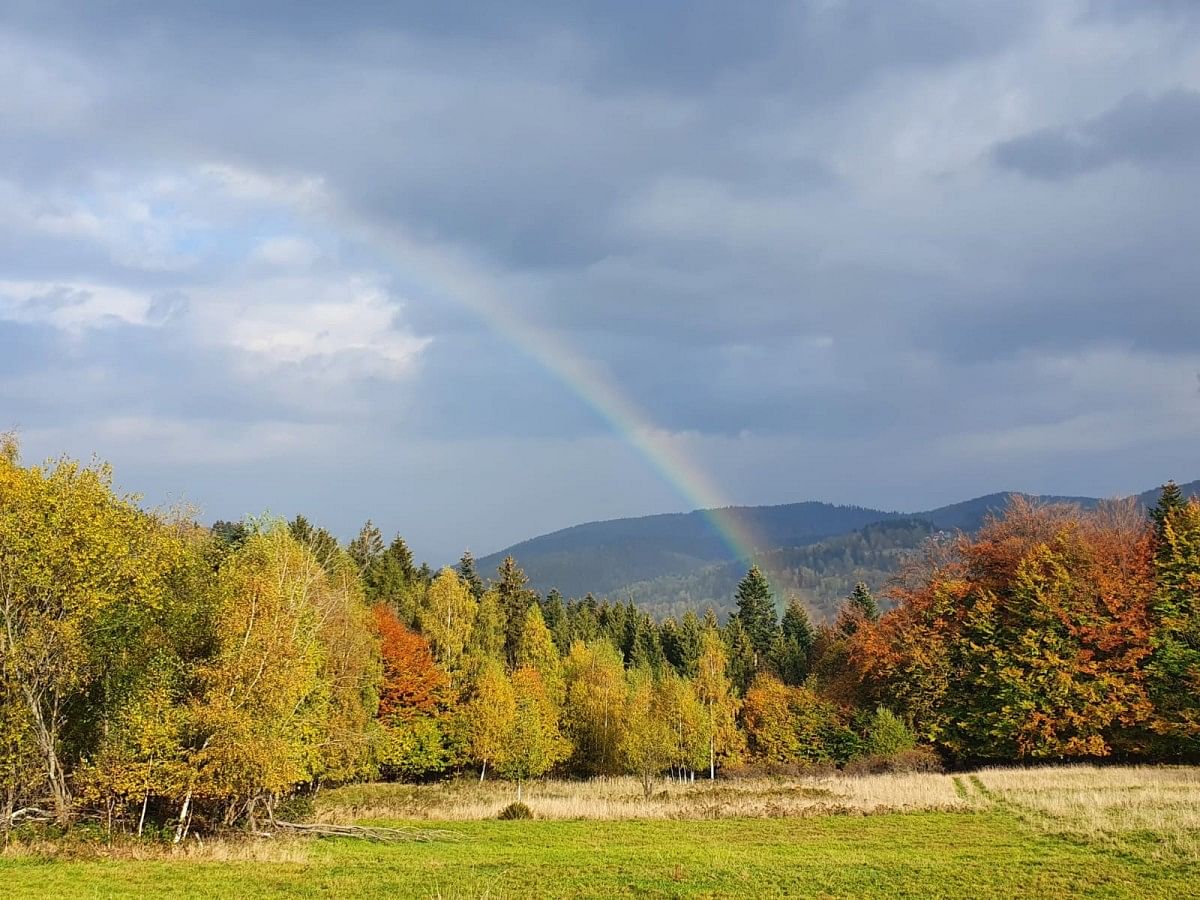 Dom 3 pokojowe na Sprzedaż