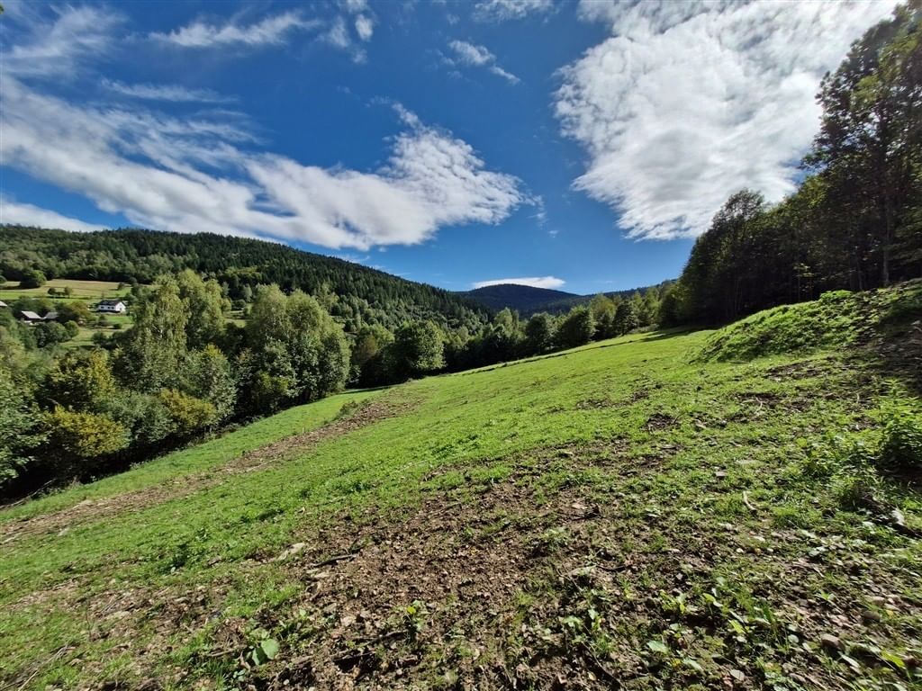 Działka  pokojowe na Sprzedaż