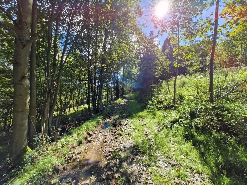 Działka  pokojowe na Sprzedaż