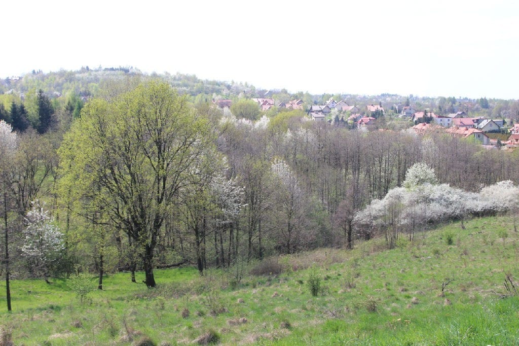 Działka  pokojowe na Sprzedaż