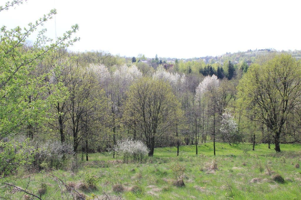 Działka  pokojowe na Sprzedaż