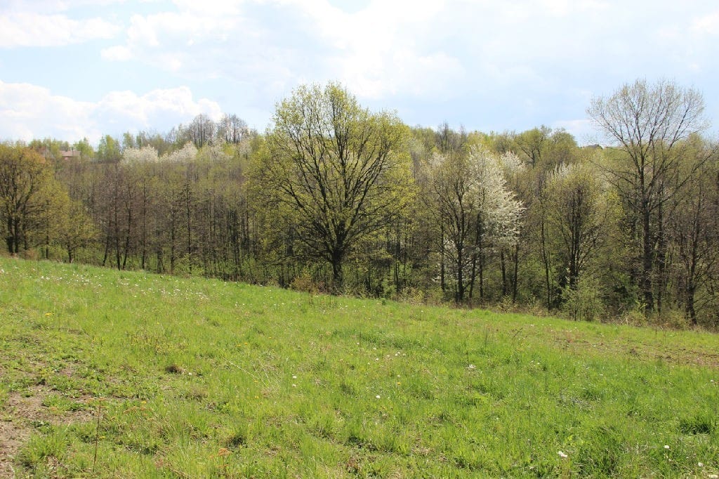 Działka  pokojowe na Sprzedaż