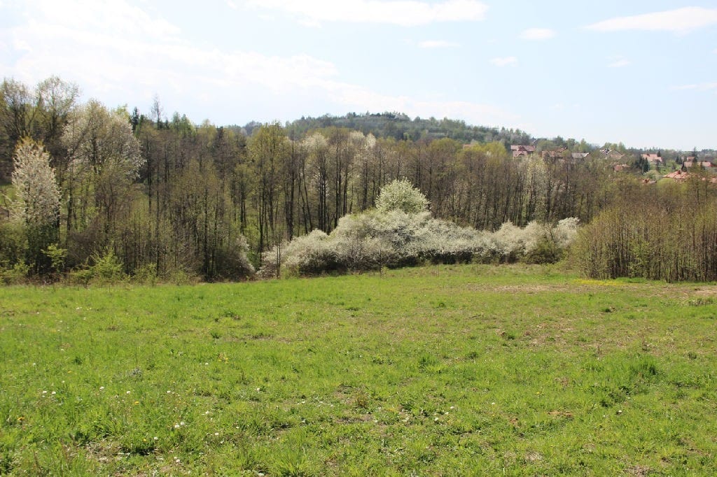 Działka  pokojowe na Sprzedaż