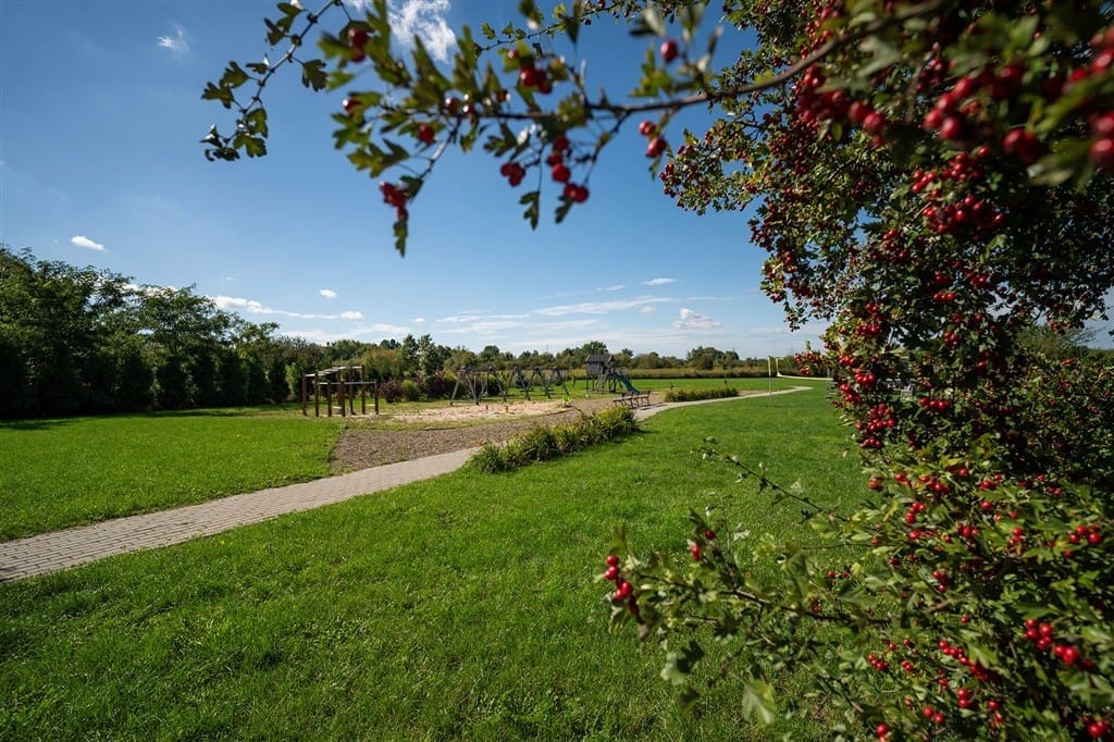 Dom 5 pokojowe na Sprzedaż