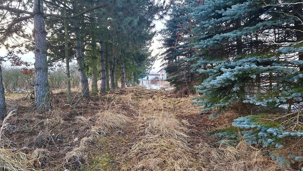 Działka  pokojowe na Sprzedaż