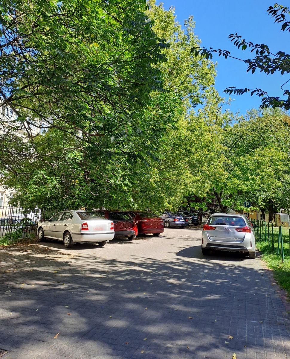Mieszkanie 2 pokojowe na Wynajem