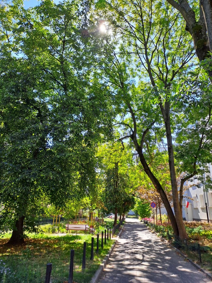 Mieszkanie 2 pokojowe na Wynajem