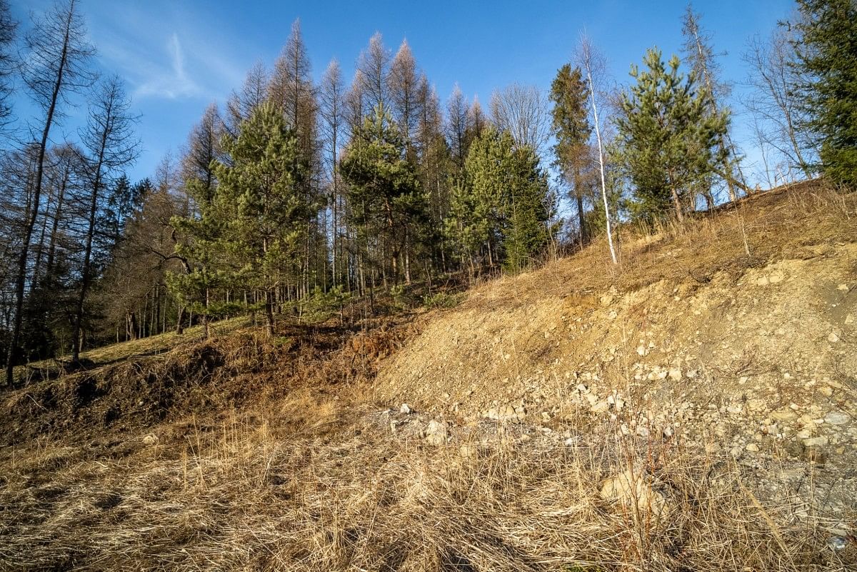 Działka  pokojowe na Sprzedaż