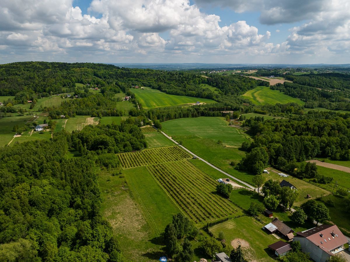 Działka  pokojowe na Sprzedaż