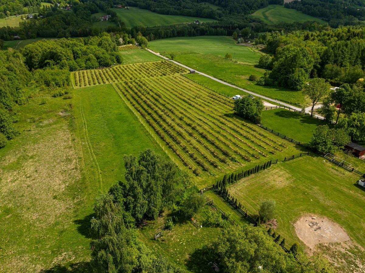 Działka  pokojowe na Sprzedaż