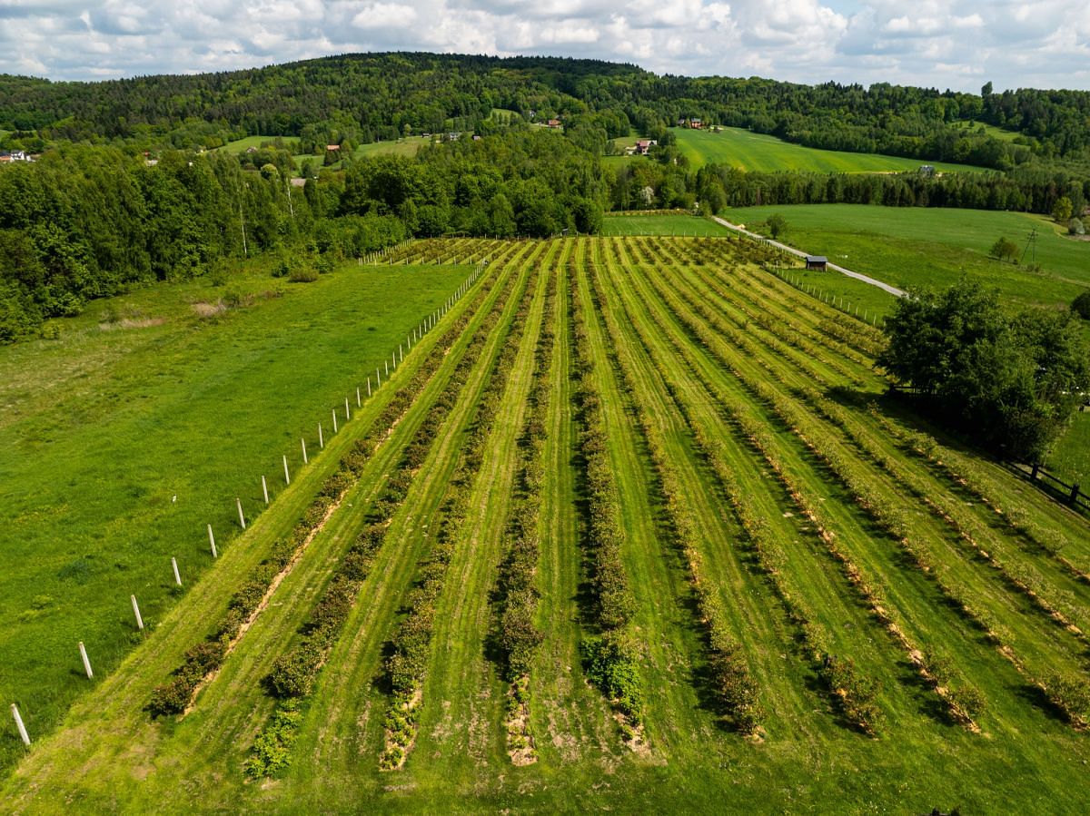 Działka  pokojowe na Sprzedaż