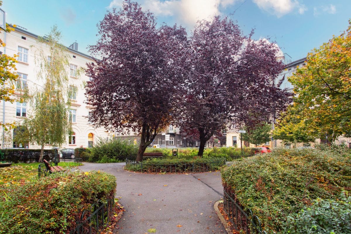 Mieszkanie 4 pokojowe na Wynajem