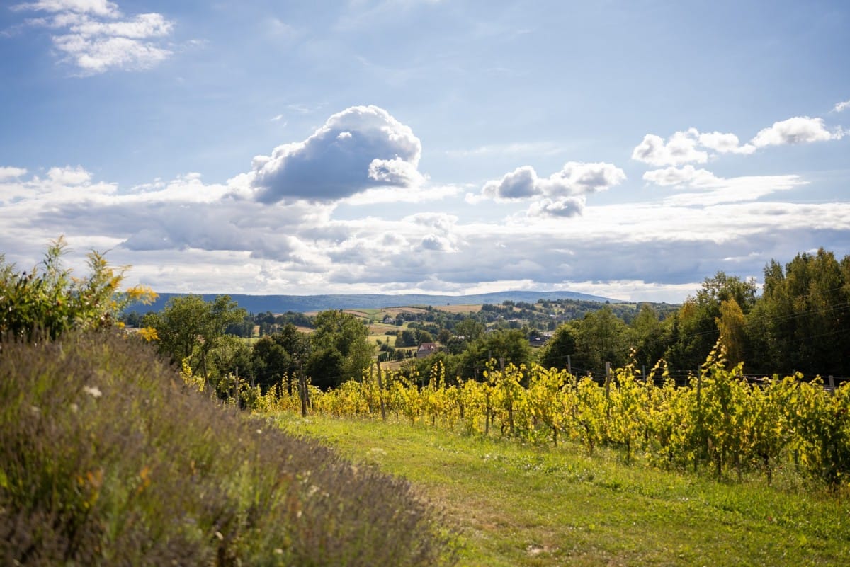 Lokal użytkowy  pokojowe na Sprzedaż