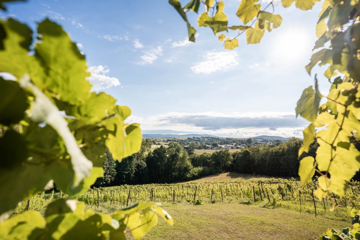 Lokal użytkowy  pokojowe na Sprzedaż